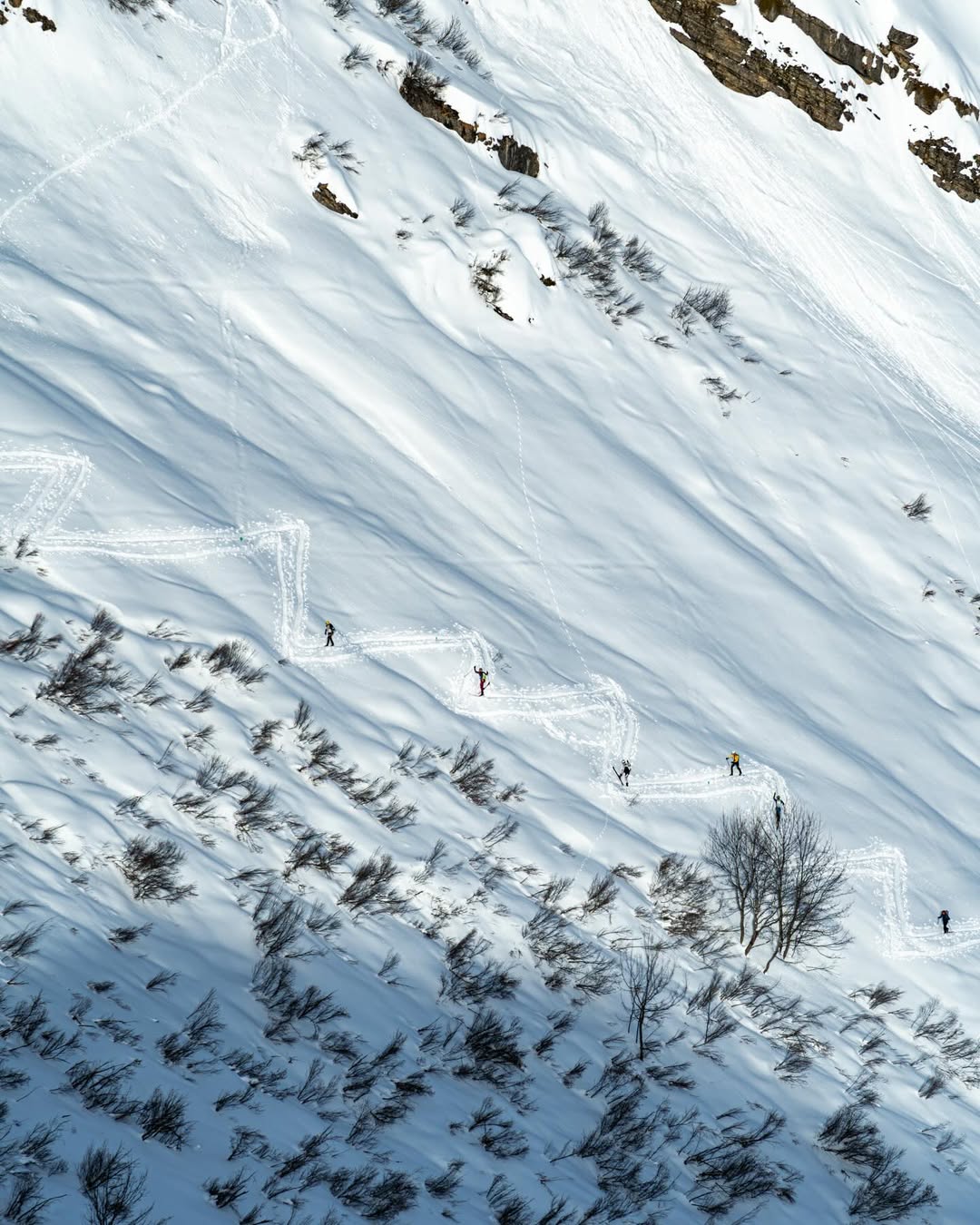 Pointes Blanches